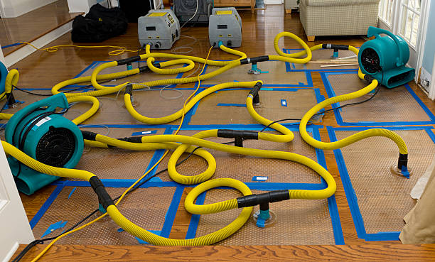 Professional Water Damage Repair technician working in Flagtown, NJ